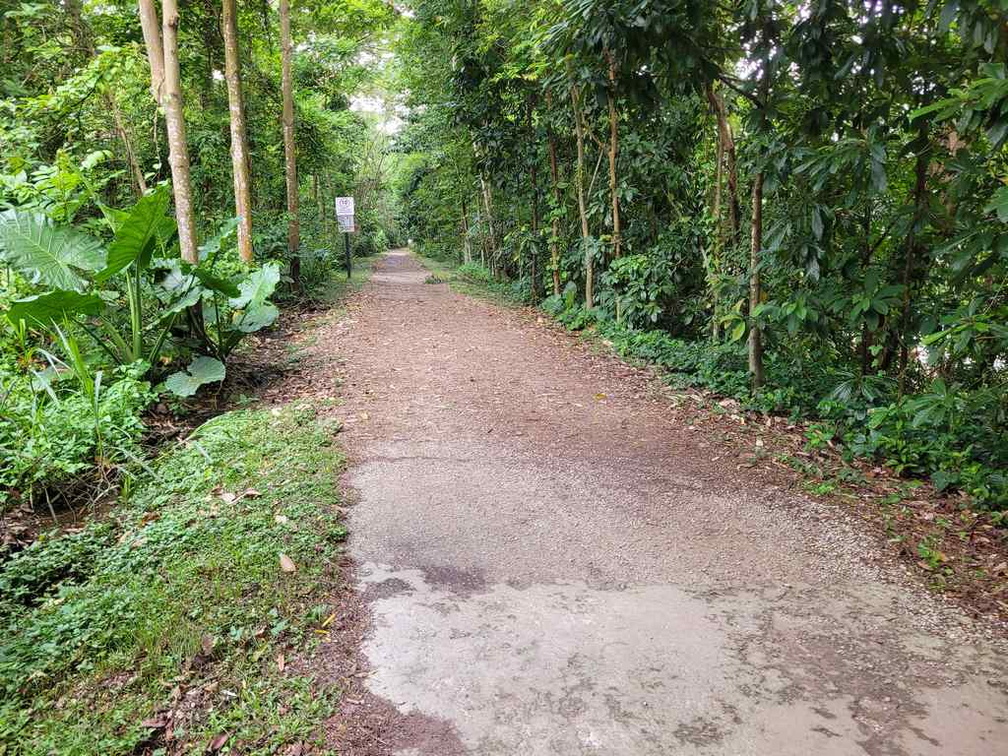 Rail corridor gravel path.