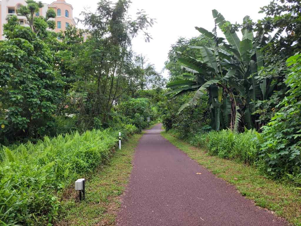 Paved roads in the Hillview area.