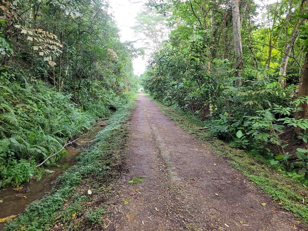 Rail corridor gravel path