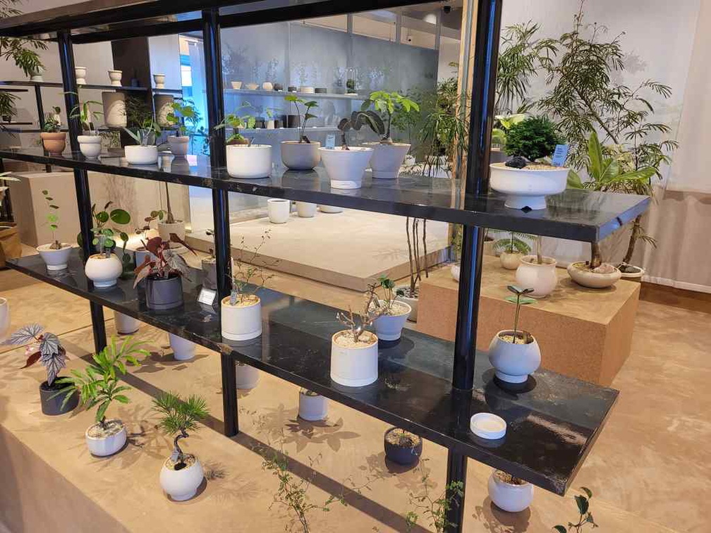 Soilboy plant shop.