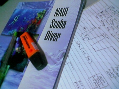 Naui Scuba Diver's Course