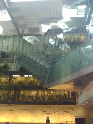 few of the many escalators disguised as glass paneling, there 51 of them in total in T3