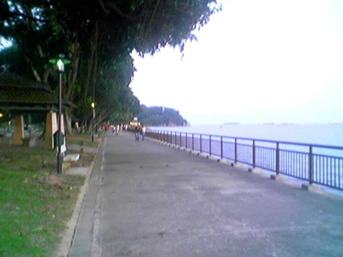 Labrador Park Running Route