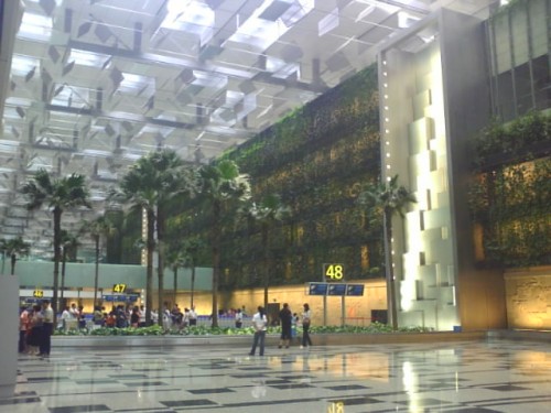 Singapore Changi T3 Airport (Terminal 3) – Skytrain, Immigration & Arrival Hall